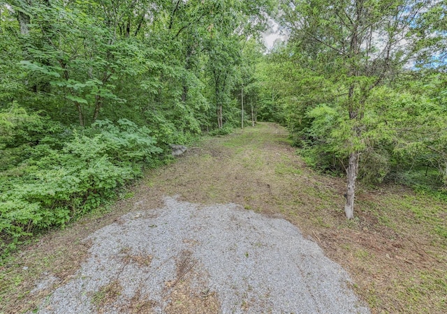 915 Bluff Rd, Brentwood, TN 37027 - photo 41