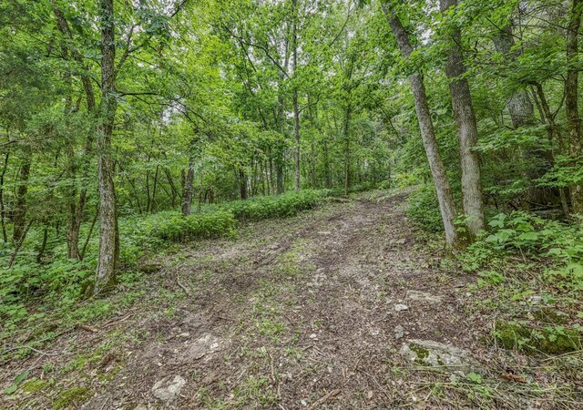 915 Bluff Rd, Brentwood, TN 37027 - photo 16