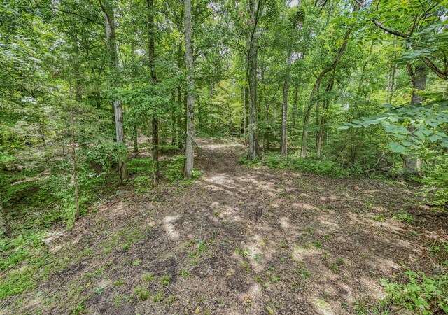 915 Bluff Rd, Brentwood, TN 37027 - photo 38