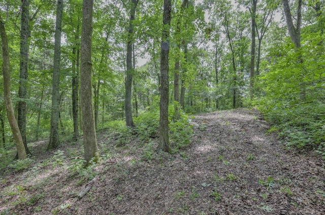 915 Bluff Rd, Brentwood, TN 37027 - photo 15
