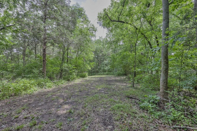 915 Bluff Rd, Brentwood, TN 37027 - photo 14