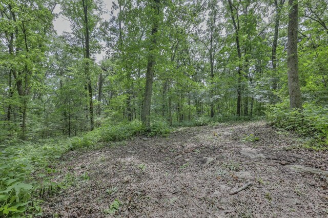 915 Bluff Rd, Brentwood, TN 37027 - photo 25
