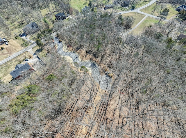 915 Bluff Rd, Brentwood, TN 37027 - photo 60