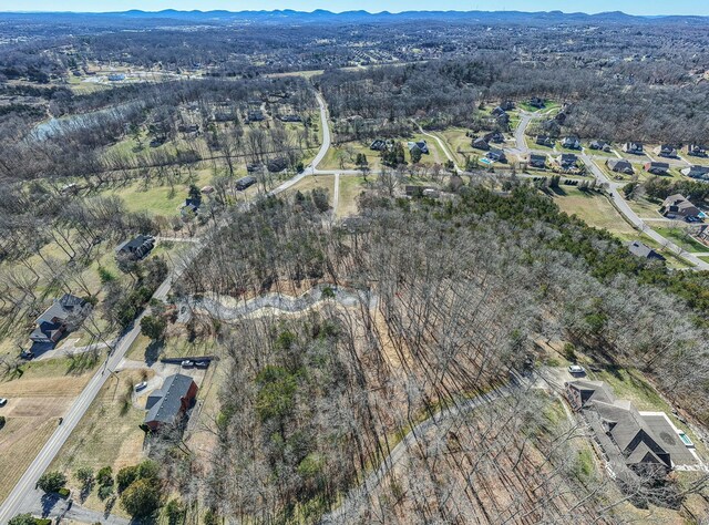 915 Bluff Rd, Brentwood, TN 37027 - photo 59