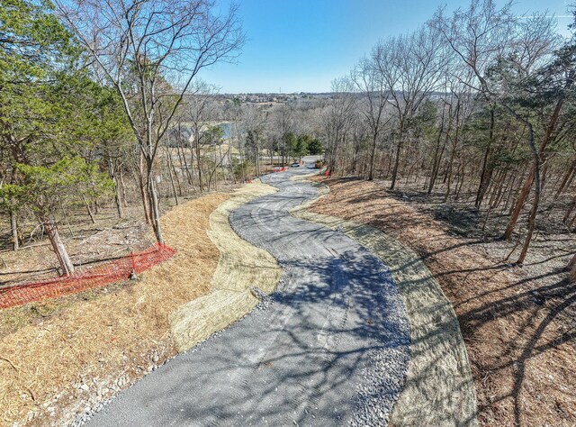 915 Bluff Rd, Brentwood, TN 37027 - photo 4