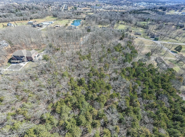 915 Bluff Rd, Brentwood, TN 37027 - photo 56