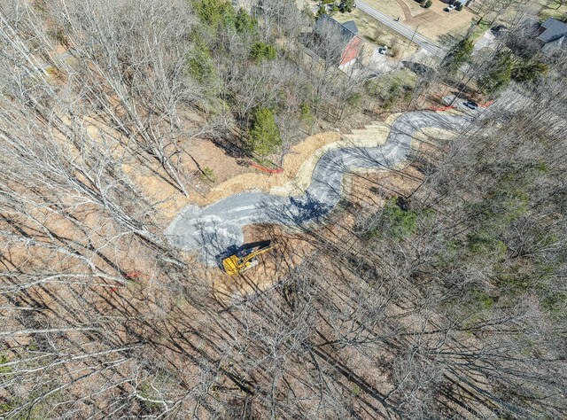915 Bluff Rd, Brentwood, TN 37027 - photo 51