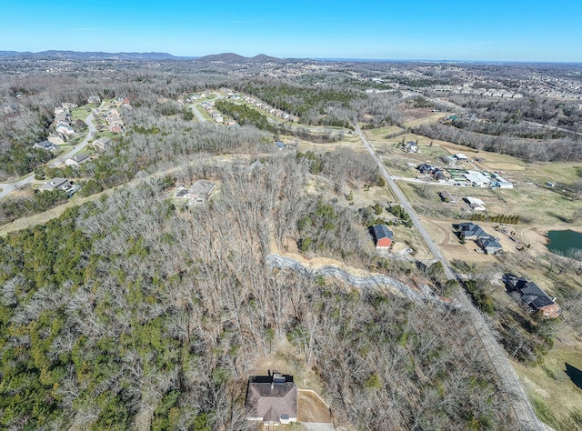 915 Bluff Rd, Brentwood, TN 37027 - photo 58