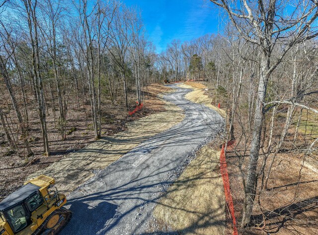 915 Bluff Rd, Brentwood, TN 37027 - photo 8