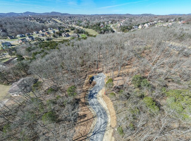 915 Bluff Rd, Brentwood, TN 37027 - photo 54