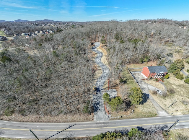 915 Bluff Rd, Brentwood, TN 37027 - photo 53