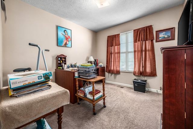 office area featuring carpet floors and a textured ceiling