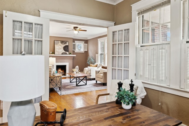 dining room featuring crown molding, a fireplace, and a wealth of natural light