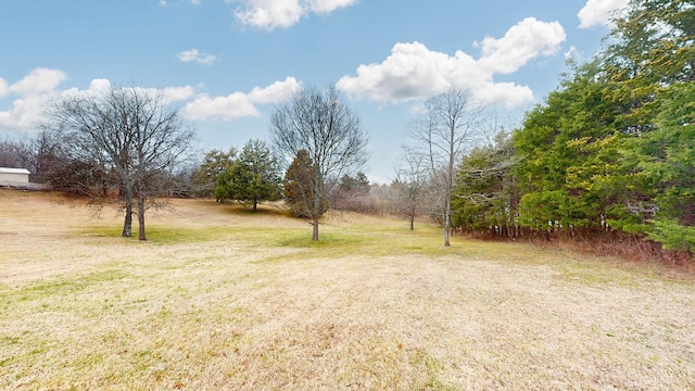 view of yard with a rural view