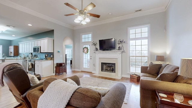 living room with sink, crown molding, ceiling fan, a fireplace, and light wood-type flooring