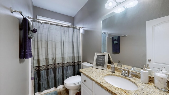 bathroom featuring vanity, toilet, and a shower with shower curtain