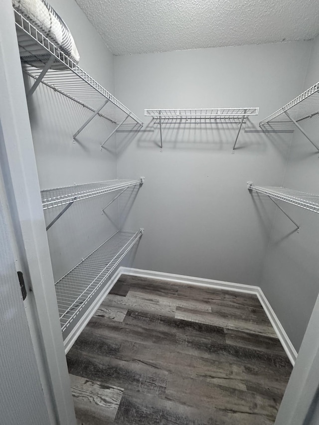 walk in closet featuring hardwood / wood-style floors