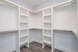 walk in closet featuring dark wood-type flooring