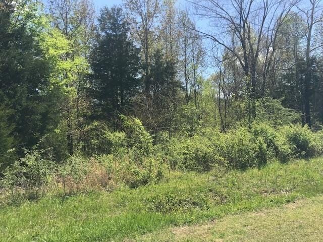 0 Mcfall Rd, Palmyra TN, 37142 land for sale