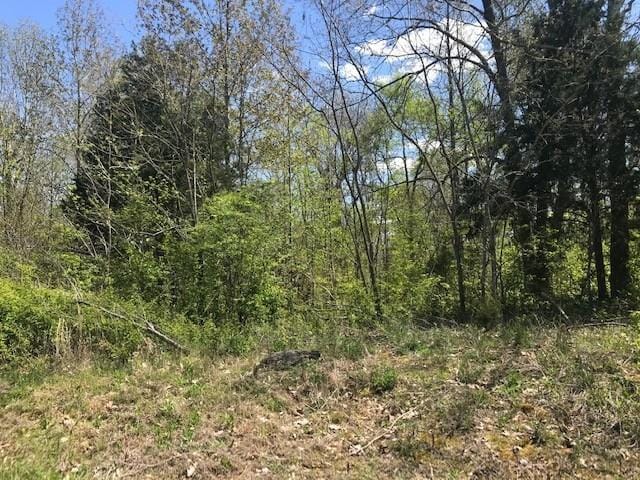 Listing photo 2 for 0 Mcfall Rd, Palmyra TN 37142