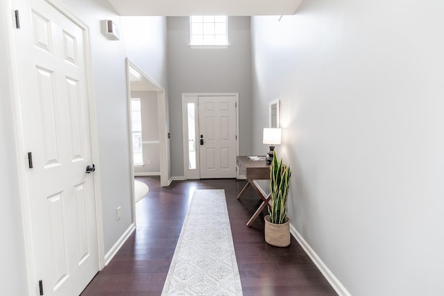 entryway featuring dark wood-type flooring and a high ceiling