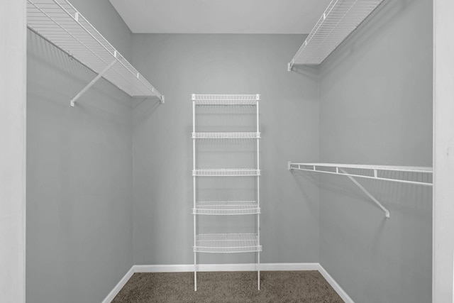 walk in closet featuring carpet