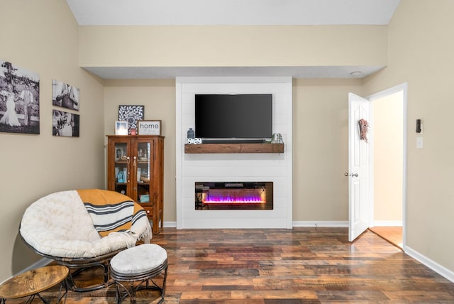 sitting room featuring dark hardwood / wood-style floors and a large fireplace