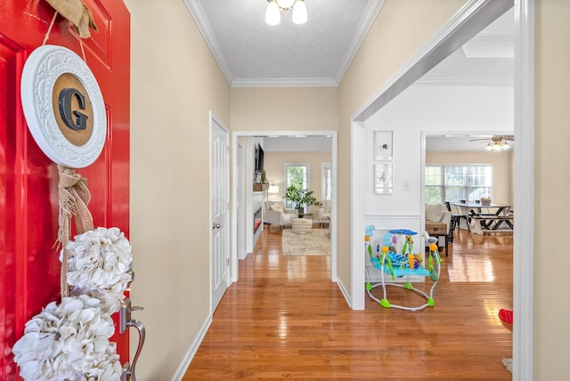 hallway featuring hardwood / wood-style flooring, ornamental molding, and a textured ceiling