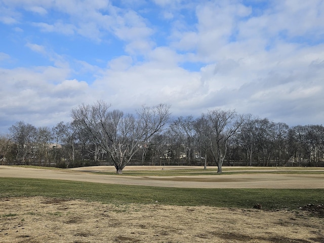 view of community with a yard