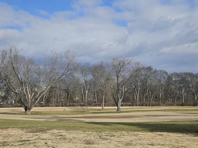 view of community with a yard