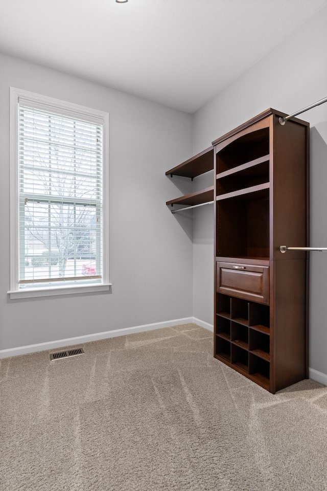 spacious closet featuring carpet floors