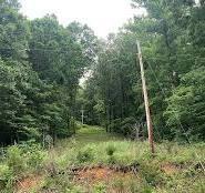 200 Greasy Cove Rd, Cosby TN, 37722 land for sale