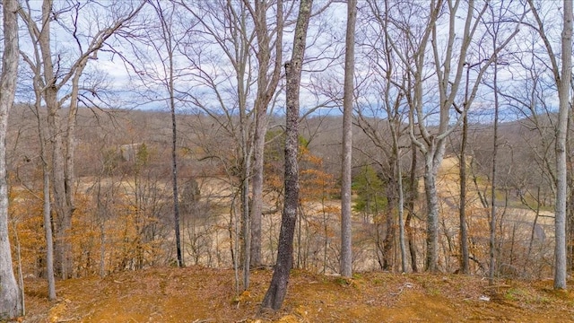 view of local wilderness featuring a wooded view