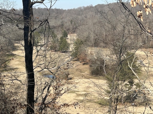 view of nature with a view of trees