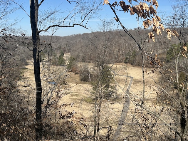 view of mountain feature featuring a wooded view