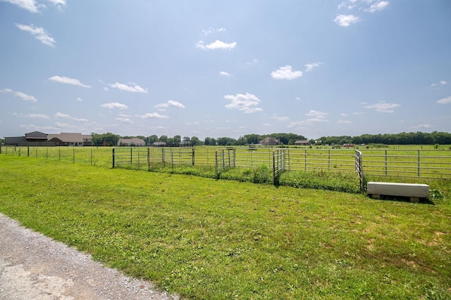 view of yard with a rural view