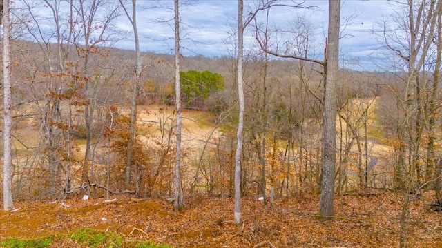 view of nature with a forest view