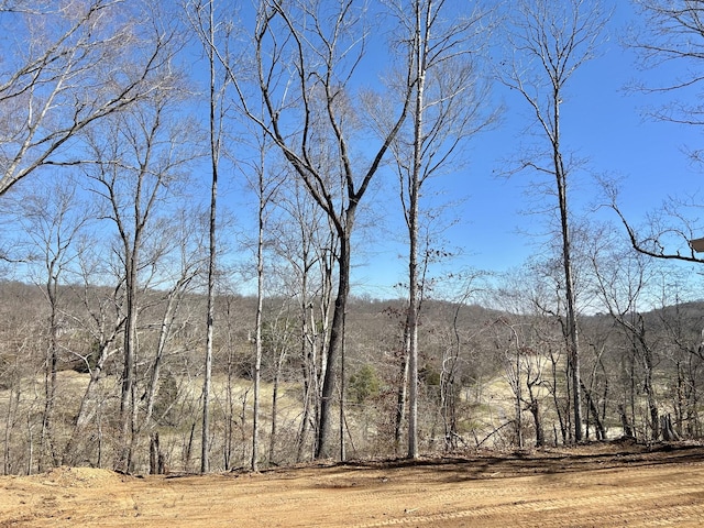 property view of mountains featuring a forest view