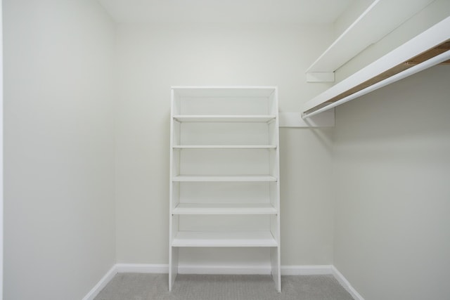 spacious closet featuring carpet