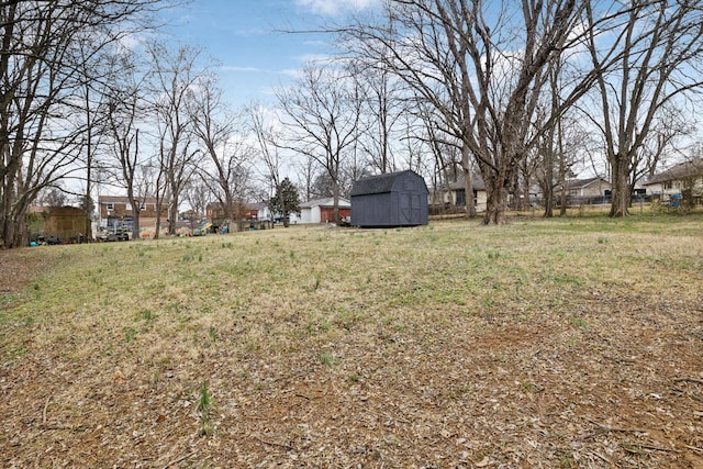 view of yard with a storage shed