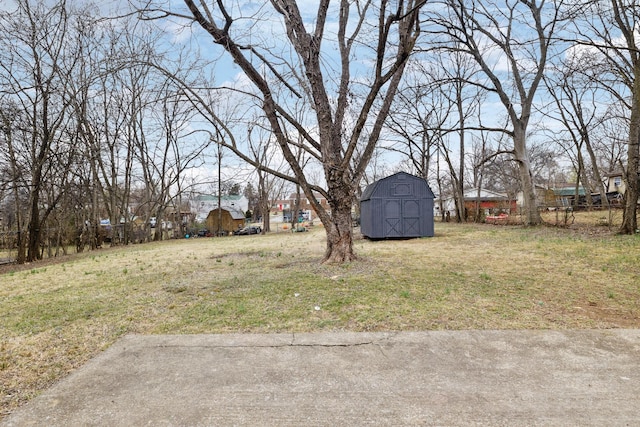 view of yard with a shed