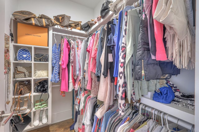 spacious closet featuring hardwood / wood-style flooring