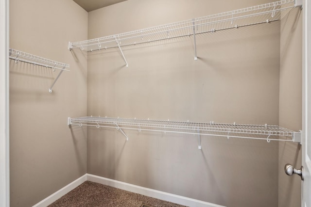 walk in closet with carpet