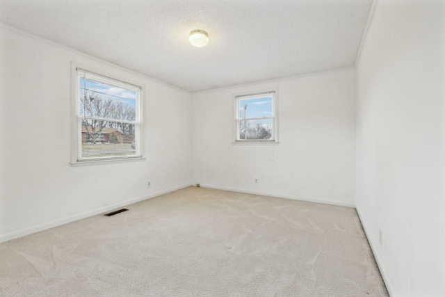 empty room with crown molding, light carpet, and a textured ceiling