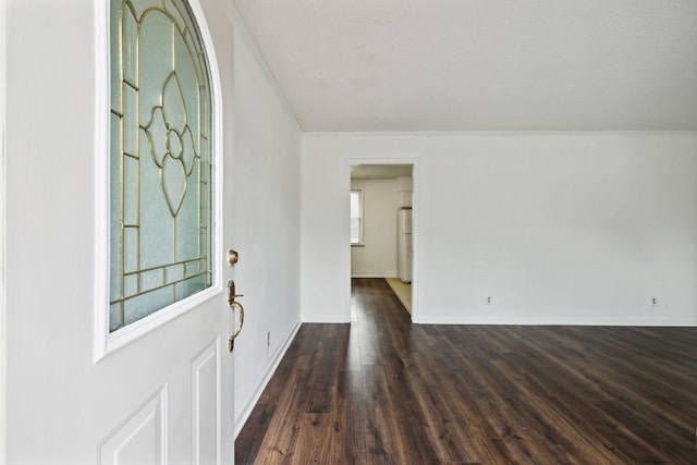 foyer with dark wood-type flooring