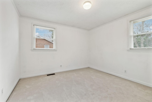 carpeted empty room featuring crown molding and a textured ceiling