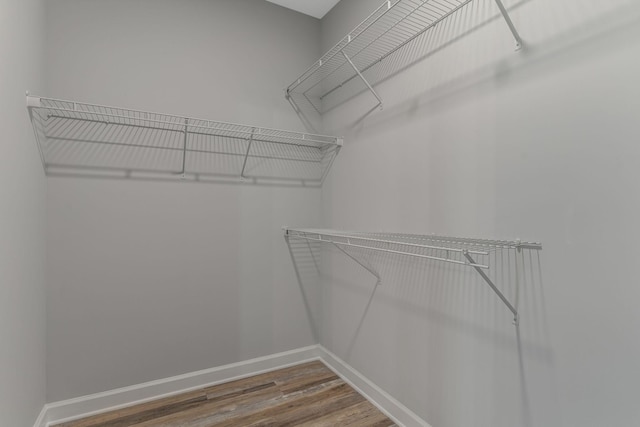 spacious closet featuring wood-type flooring