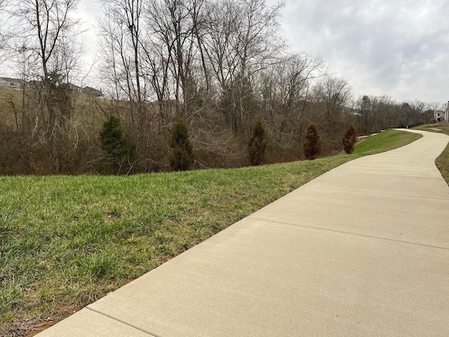 view of property's community featuring a lawn