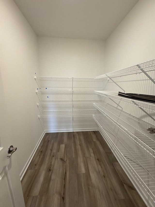 walk in closet featuring dark wood-type flooring