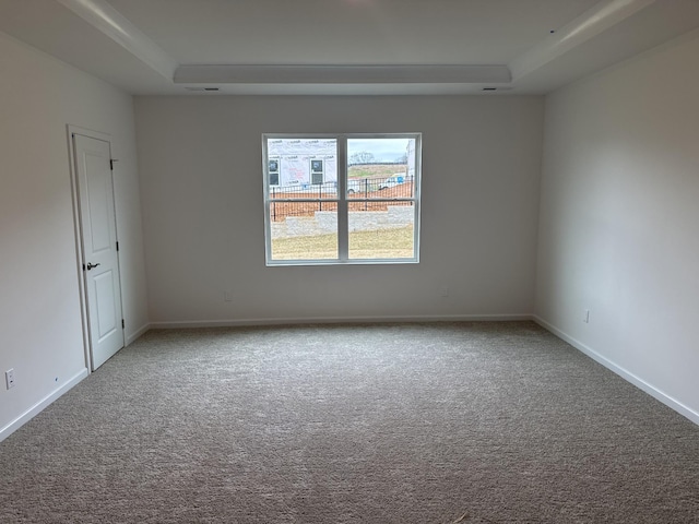 spare room featuring a raised ceiling and carpet floors